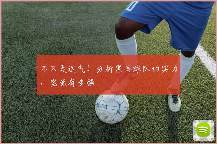 不只是运气!分析黑马球队的实力,究竟有多强